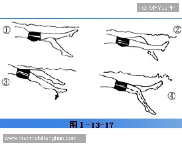 仰泳比赛规则解析及其技巧要求详细指南