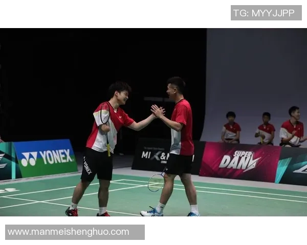 深入探讨杭州羽毛球队的团队配合与战术分析表现的研究报告